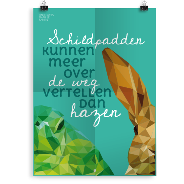 Prikkelende poster: Haas schildpad