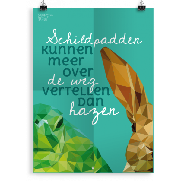 Prikkelende poster: Haas schildpad